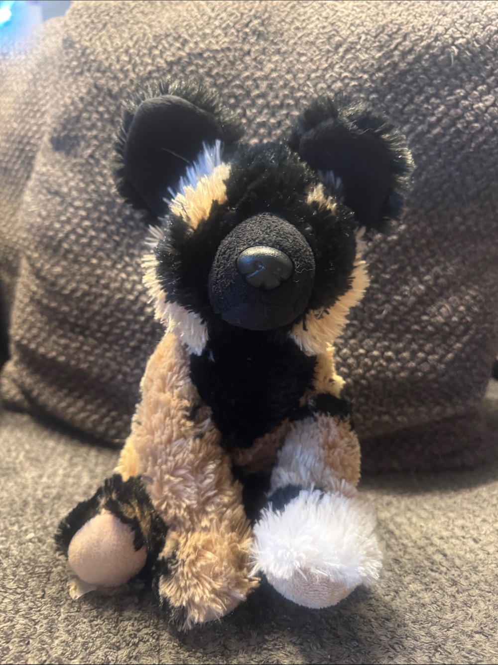 Plush Small Pet Toy in Black, Tan & White - Cuddly Animal Companion